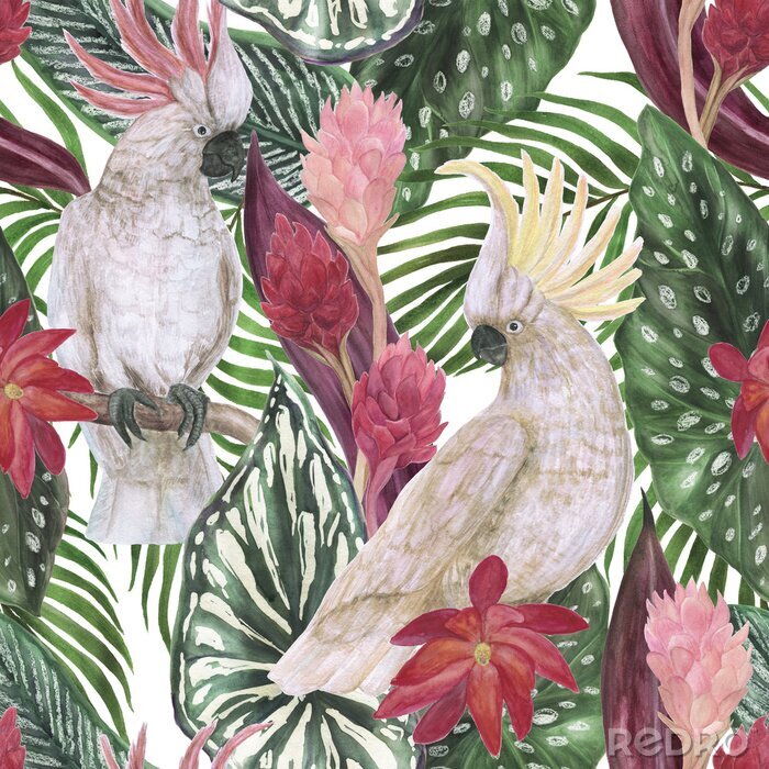 Tapete Kakadu-Papageien und Blätter