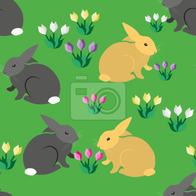 Tapete Kaninchen auf einem Feld mit Krokus