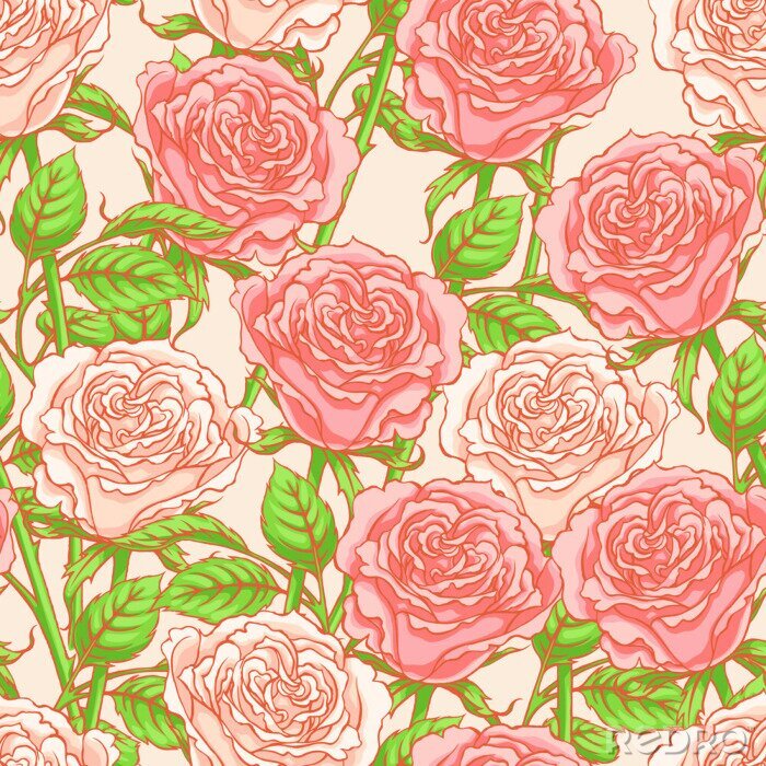 Tapete Klassische rosa Rosen auf Retro-Grafik