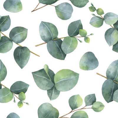 Tapete Kleine Eukalyptusblätter