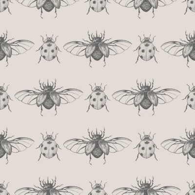 Tapete Kleine Marienkäfer