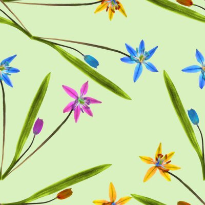 Tapete Kleine mehrfarbige Petunien