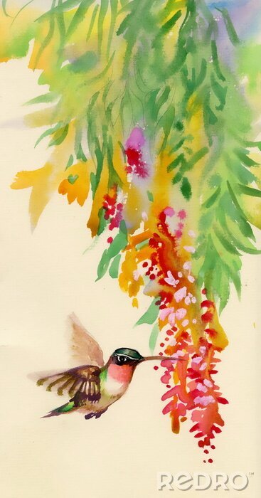 Tapete Kolibri im Anflug auf die Blumen