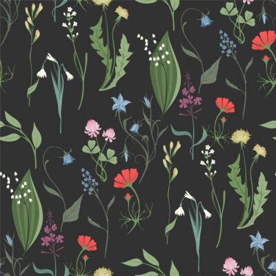 Tapete Kräuter und Wildblumen auf dunklem Hintergrund