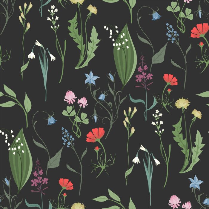 Tapete Kräuter und Wildblumen auf dunklem Hintergrund