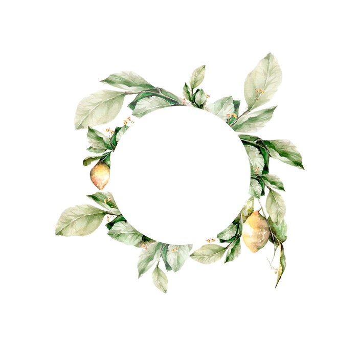 Tapete Kranz aus Zitronenzweigen subtile Illustration