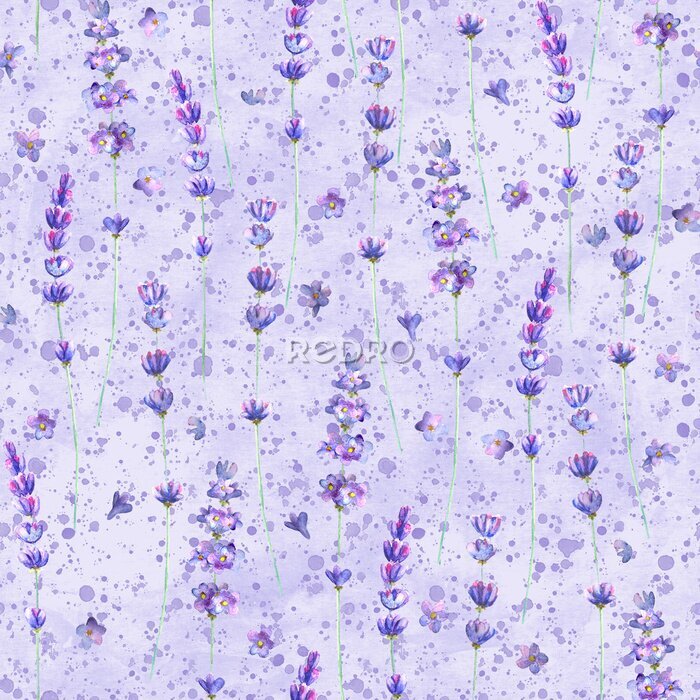 Tapete Lavendelblüten am Aquarell-Hintergrund in Violetttönen