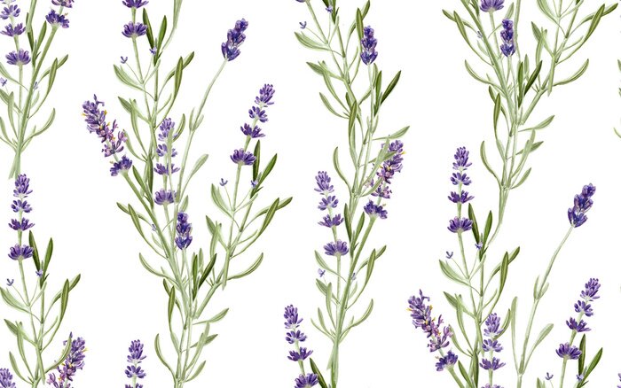 Tapete Lavendelzweige auf weißem Hintergrund