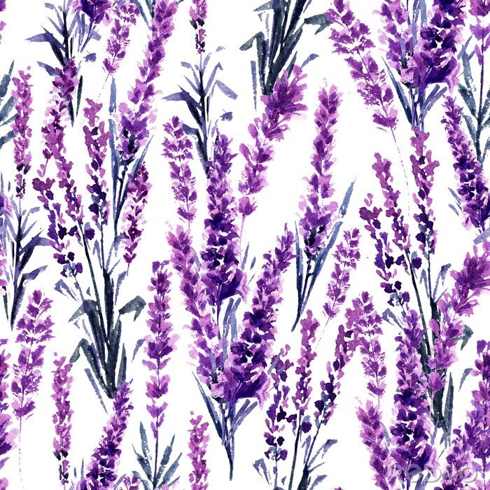 Tapete Lavender Field Seamless Pattern. Watercolor or Aquarelle Paintings of Provence Lavandula. Hand Drawn Tea Herbs Flower. Summer Blossom or Foliage of Garden Plant in Aquarelle. Nature and Perfume.