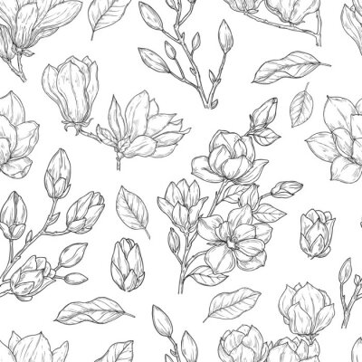 Tapete Magnolia pattern. Sketch flower ornate seamless texture. Vintage floral print drawing with botanical elements. Plants vector background. Magnolia floral spring decoration pattern illustration