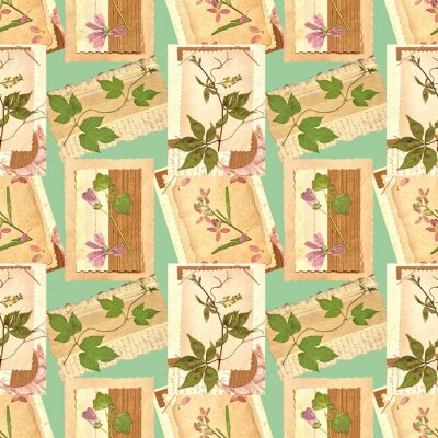 Tapete Malvenpflanze auf alten Vintage-Karten