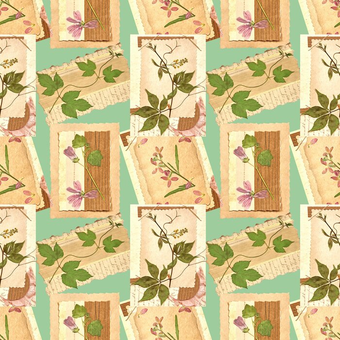 Tapete Malvenpflanze auf alten Vintage-Karten