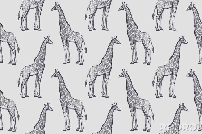 Tapete Minimalistisches Muster mit Giraffen auf grauem Hintergrund