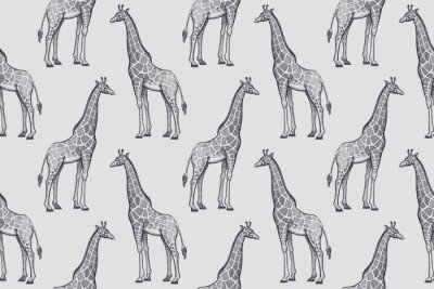 Tapete Minimalistisches Muster mit Giraffen auf grauem Hintergrund
