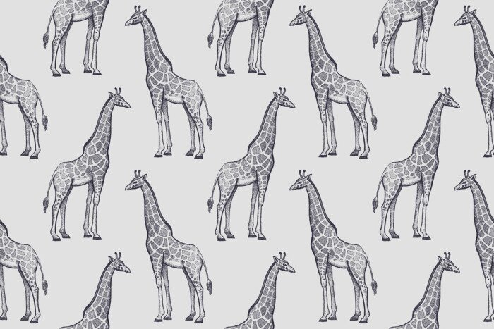 Tapete Minimalistisches Muster mit Giraffen auf grauem Hintergrund