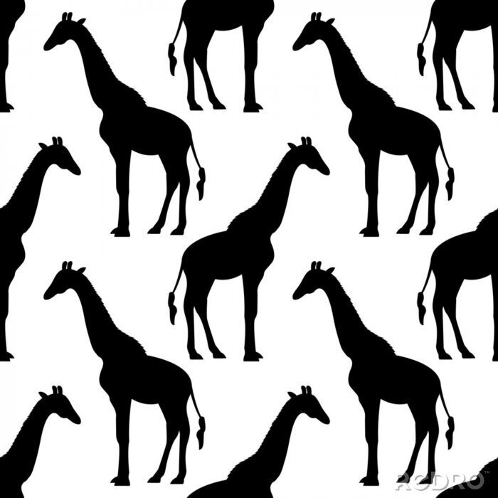 Tapete Minimalistisches nahtloses Muster mit schwarz-weißen Giraffen