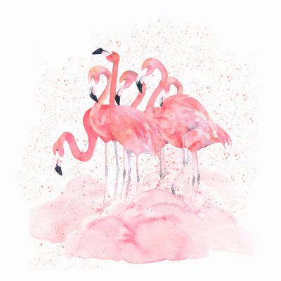 Mit Aquarellfarbe gemalte Flamingos