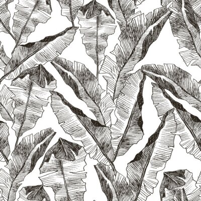 Tapete Mit Bleistift skizzierte tropische Blätter