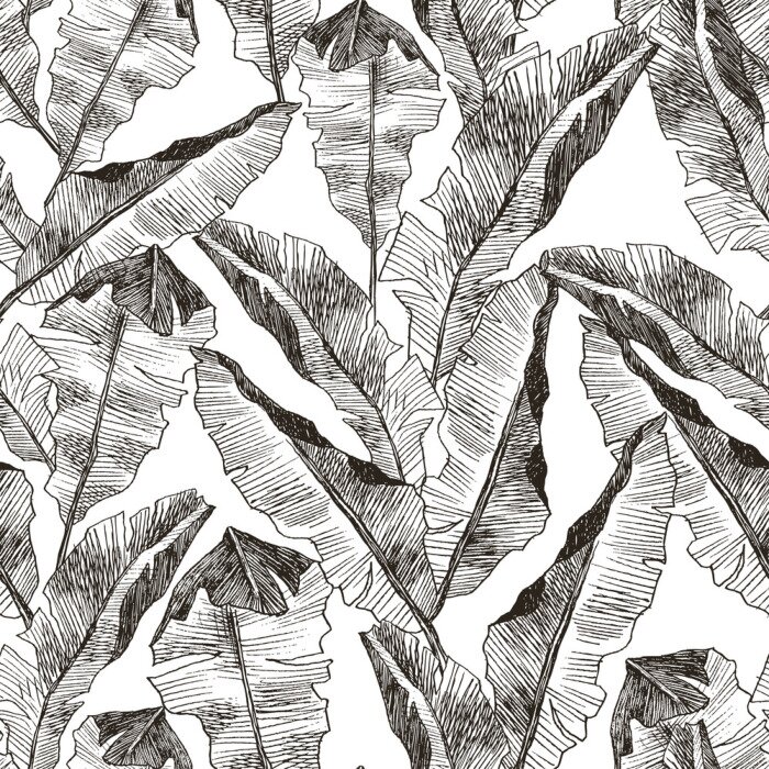 Tapete Mit Bleistift skizzierte tropische Blätter