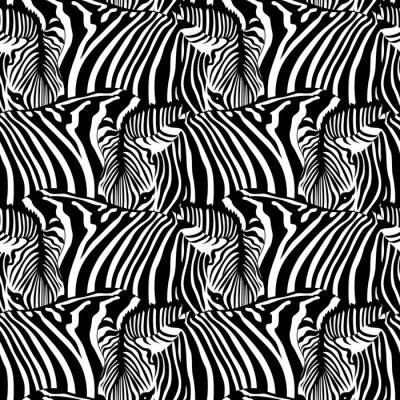 Tapete Monochrome Zebras in der Herde
