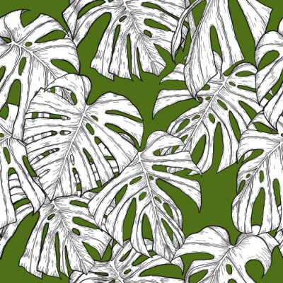 Tapete Monstera-Muster von Hand drawing.Monstera Vektor nahtlos auf Vintage background.Vector Blätter Kunst sehr detailliert in Linie Kunst Stil. Monstera ist Pflanze von tropical.Leaf für Farbe zu Muster od
