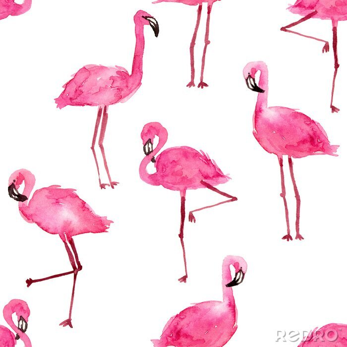 Tapete Motiv mit Aquarell-Flamingos auf weißem Hintergrund