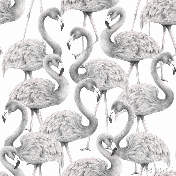 Tapete Muster mit schwarz-weißen Flamingos