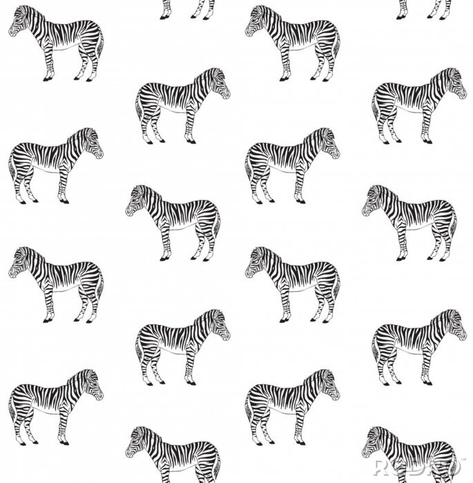 Tapete Muster Zebrastreifen schwarz-weiß auf weißem Hintergrund