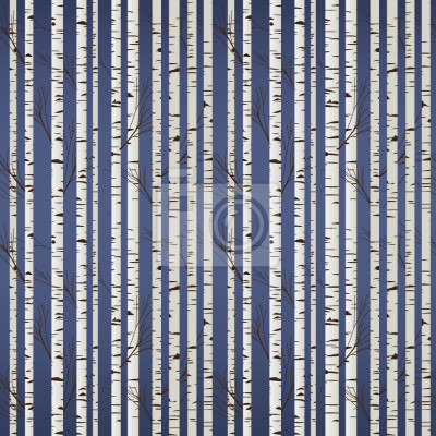 Tapete Nachtbäume - Birken im Wald