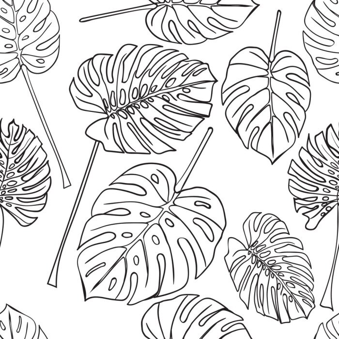 Tapete Nahtlose Hintergrund mit Silhouette tropischen Monstera Blätter. Schwarz isoliert auf weißem Hintergrund