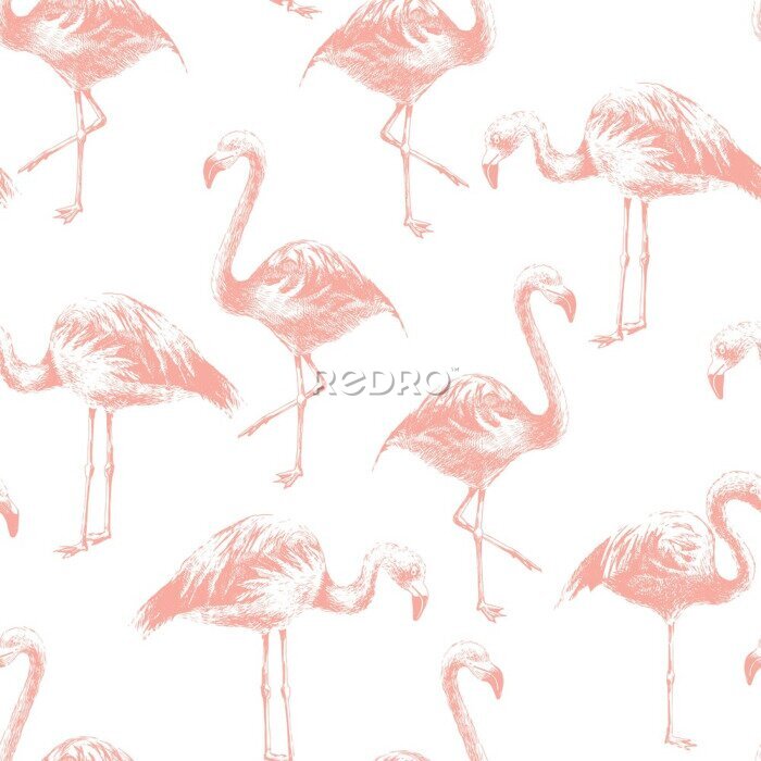 Tapete Nahtlose Muster mit Hand gezeichnet Flamingos