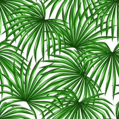 Tapete Nahtlose Muster mit Palmenblättern. Dekorative Bild tropische Blatt der Palme Livistona Rotundifolia. Hintergrund ohne Schnittmaske gemacht. Einfach zu bedienen für Kulisse, Textil, Geschenkpapier