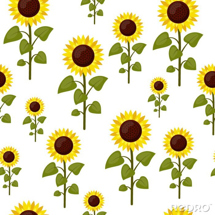 Tapete Nahtlose Muster-Sonnenblumenkarikatur lokalisiert auf einem weißen Hintergrund.  Flache Artvektorillustration der Sommerlandwirtschaft