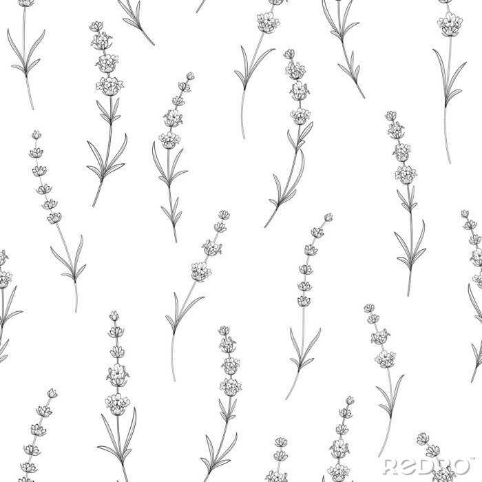 Tapete Nahtlose Muster von Lavendel Blumen auf weißem Hintergrund. Aquarellmuster mit Lavendel für Paketpapier Vektor-Illustration.