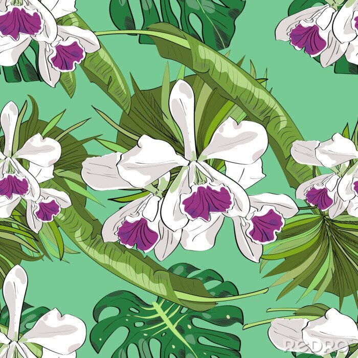 Tapete Nahtlose Vektor-Muster von exotischen Vektor gezeichneten Blumen und Blätter. Tropischer Hintergrund.