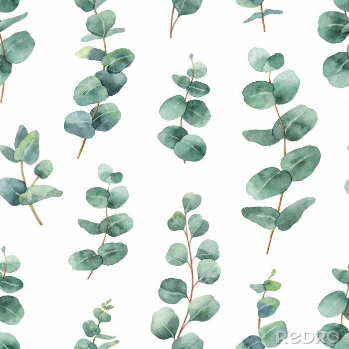 Tapete Nahtloses Muster des Aquarellvektors mit silbernen Dollar Eukalyptusblättern und -niederlassungen.