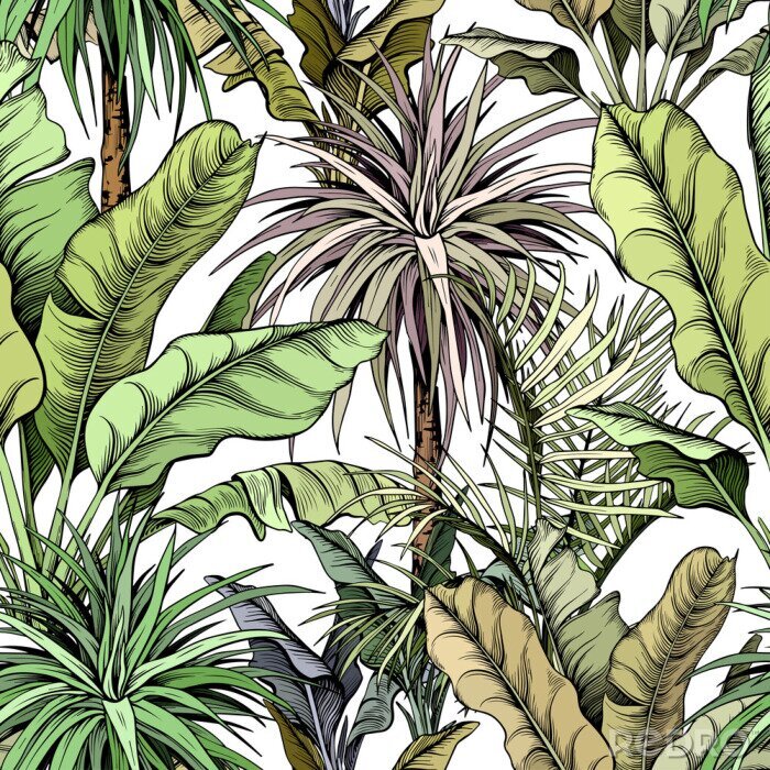 Tapete Nahtloses Muster mit grünen tropischen Bäumen. Yucca-Pflanzen und große Bananenblätter. Hand gezeichnete Vektorillustration