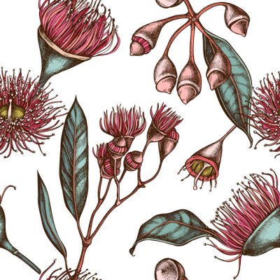 Tapete Nahtloses Muster mit handgezeichneter farbiger Eukalyptusblume