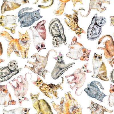 Nahtloses Muster mit zehn verschiedenen Katzenrassen lokalisiert auf weißem Hintergrund. Hand gezeichnete Illustration der Aquarellstifte
