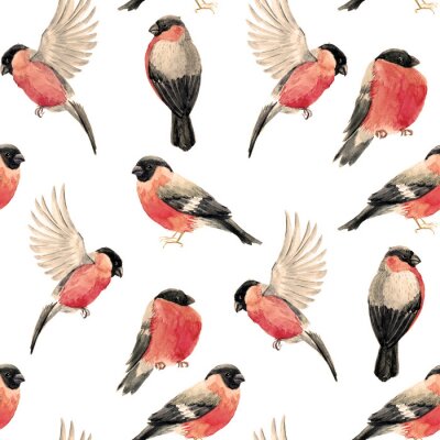 Tapete Nahtloses Muster von gemalten Gimpelvögeln auf einem weißen Hintergrund