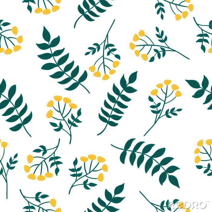 Tapete Natürliches nahtloses Muster mit Rainfarnpflanze und Blättern. Waldgelbe Blüten. Vektor skandinavische Artillustration
