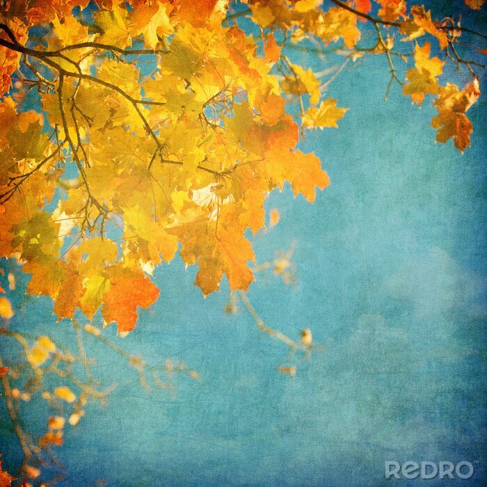 Tapete Natur und Blätter