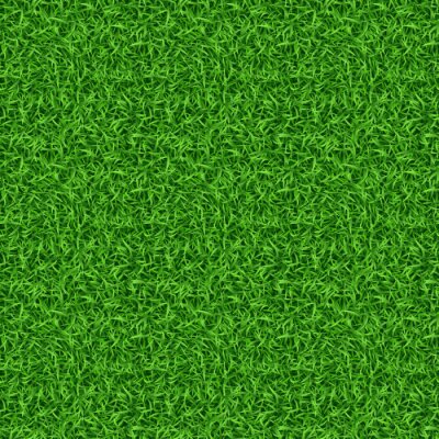 Tapete Naturrasen mit grüner Farbe