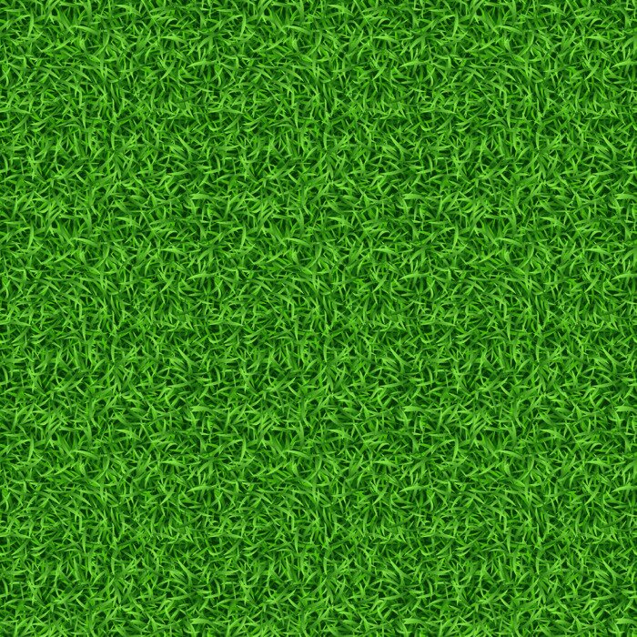 Tapete Naturrasen mit grüner Farbe