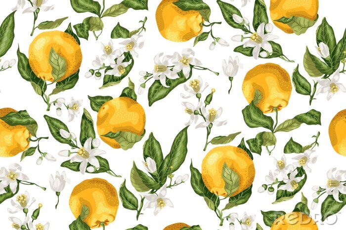 Tapete Orangenblüte und Früchte