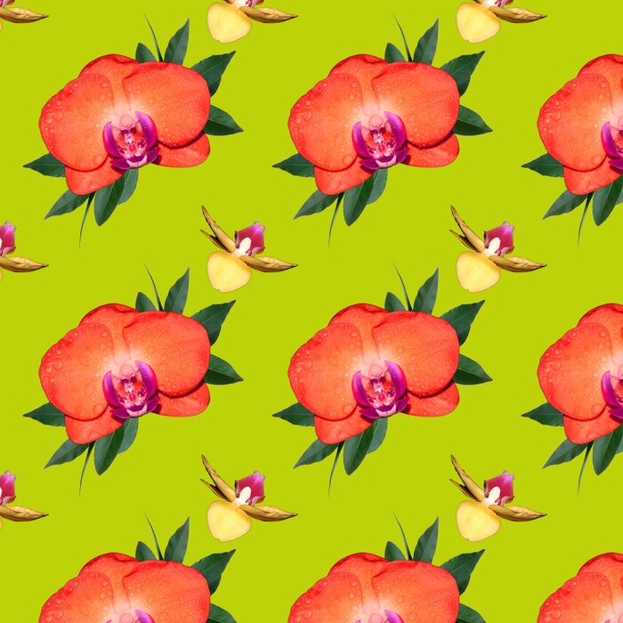 Tapete Orchidee auf grünem Hintergrund