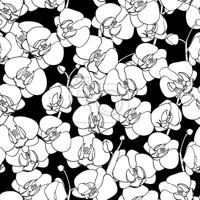 Tapete Orchideentanz