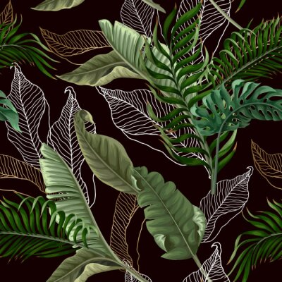  Palmblätter auf dunklem Hintergrund