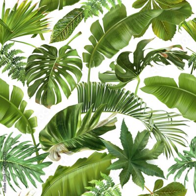 Tapete Palmblätter aus dem äquatorialen Wald