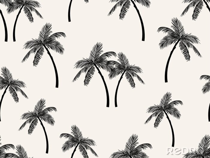 Tapete Palmblätter - schwarz-weiße Flora